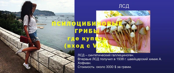 шишки Баксан